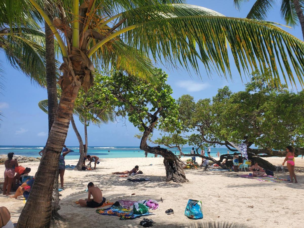 Villa L'Anjou Creole A Sainte Anne En Guadeloupe Avec Piscine Privee Et 2 Chambres Pour 4 Personnes Exteriör bild