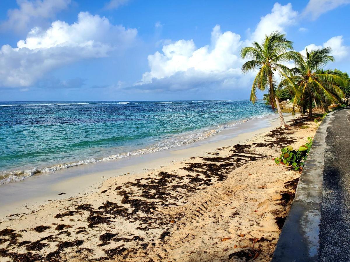 Villa L'Anjou Creole A Sainte Anne En Guadeloupe Avec Piscine Privee Et 2 Chambres Pour 4 Personnes Exteriör bild