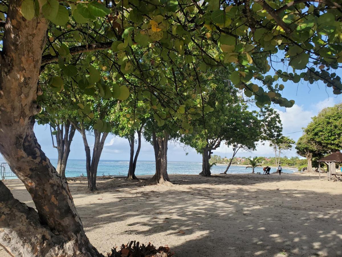 Villa L'Anjou Creole A Sainte Anne En Guadeloupe Avec Piscine Privee Et 2 Chambres Pour 4 Personnes Exteriör bild