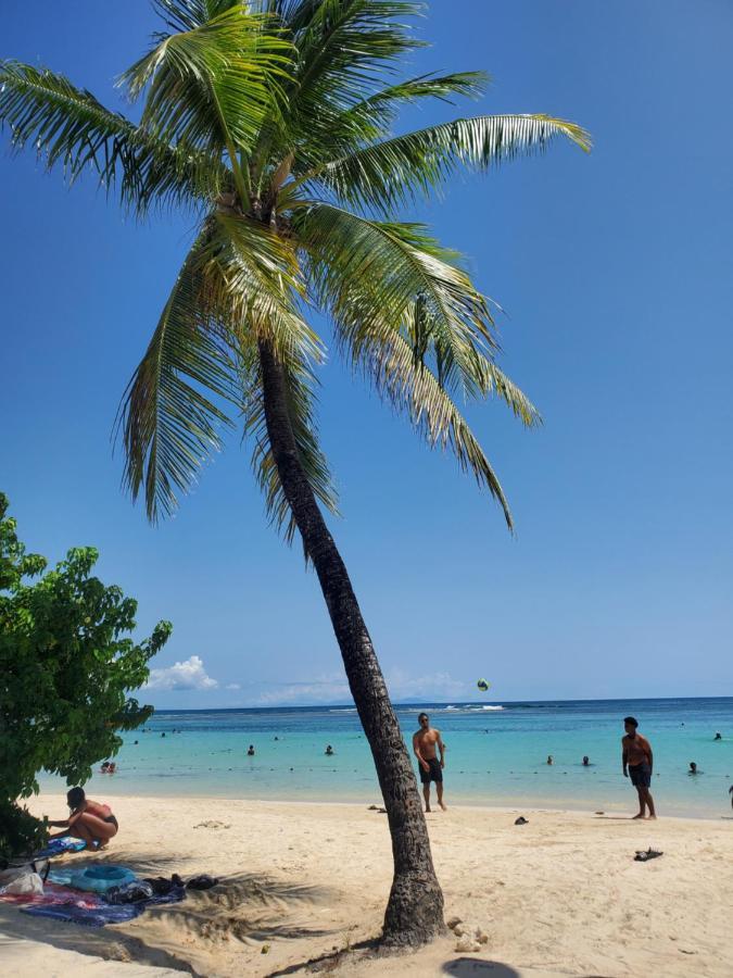 Villa L'Anjou Creole A Sainte Anne En Guadeloupe Avec Piscine Privee Et 2 Chambres Pour 4 Personnes Exteriör bild