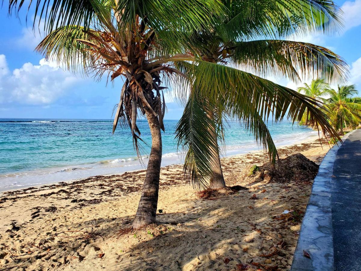 Villa L'Anjou Creole A Sainte Anne En Guadeloupe Avec Piscine Privee Et 2 Chambres Pour 4 Personnes Exteriör bild