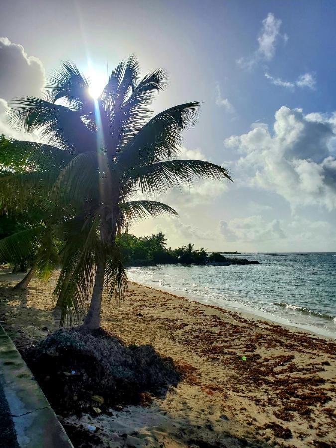 Villa L'Anjou Creole A Sainte Anne En Guadeloupe Avec Piscine Privee Et 2 Chambres Pour 4 Personnes Exteriör bild