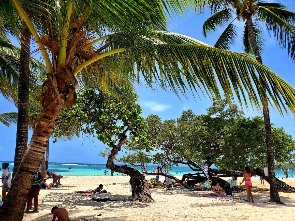 Villa L'Anjou Creole A Sainte Anne En Guadeloupe Avec Piscine Privee Et 2 Chambres Pour 4 Personnes Exteriör bild