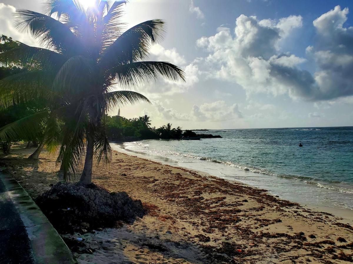 Villa L'Anjou Creole A Sainte Anne En Guadeloupe Avec Piscine Privee Et 2 Chambres Pour 4 Personnes Exteriör bild