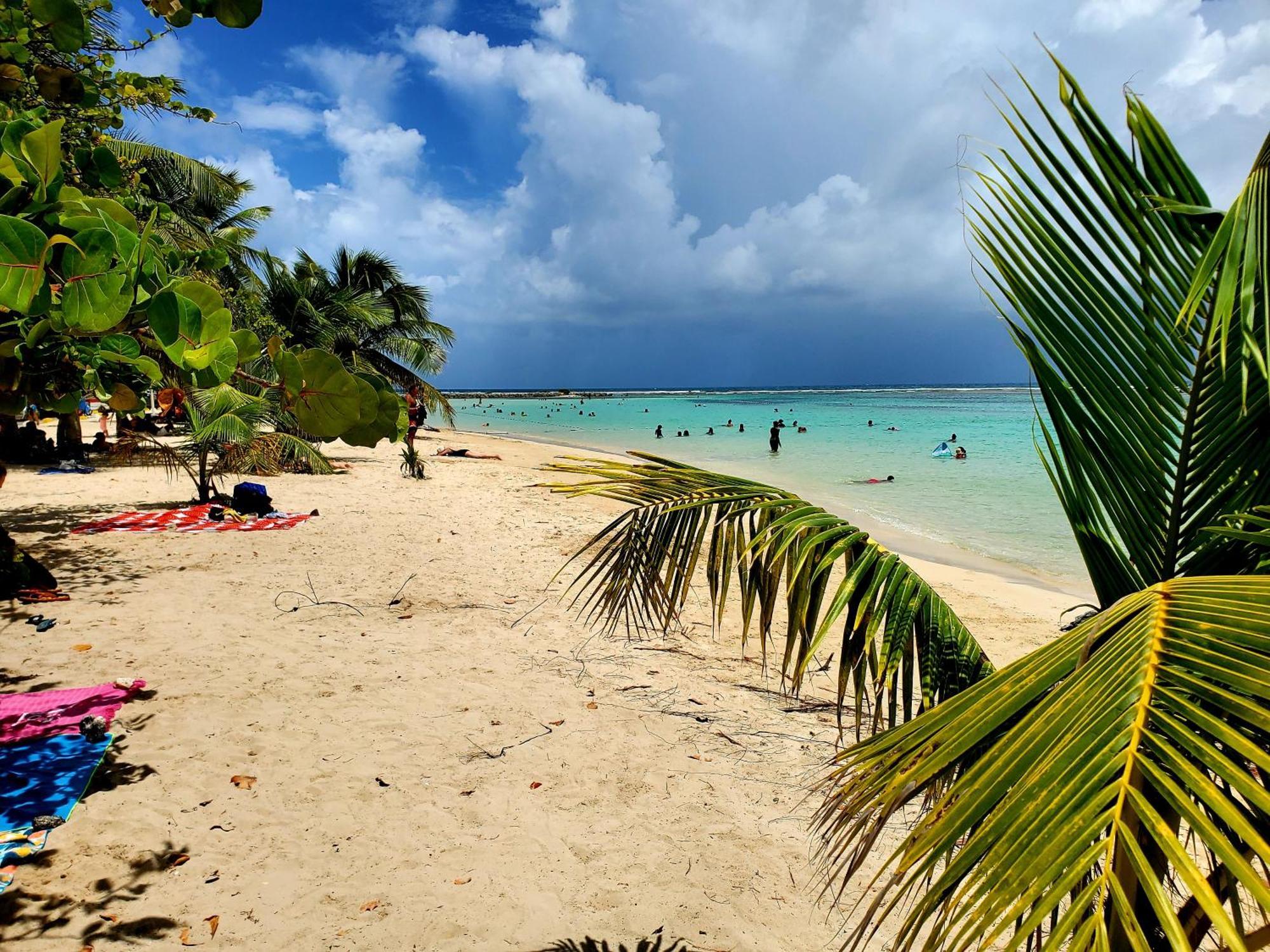 Villa L'Anjou Creole A Sainte Anne En Guadeloupe Avec Piscine Privee Et 2 Chambres Pour 4 Personnes Exteriör bild